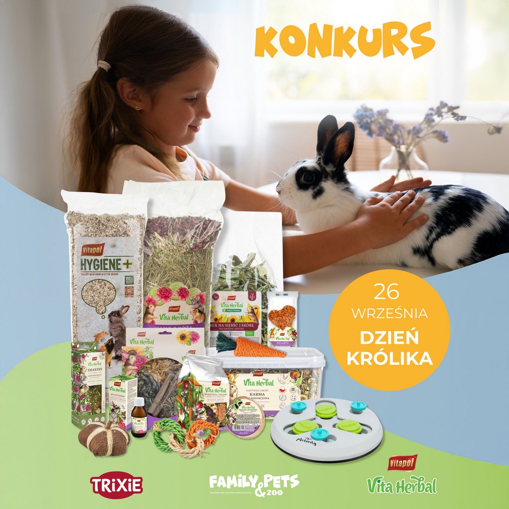Dzień Królika